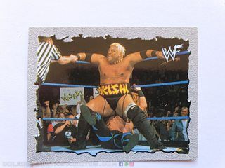 WWF, Lucha Libre (Salo, 2001): Lámina G (Deporte)