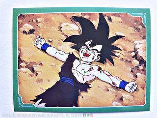 DBZ 4 (Big-Bang, 2004): Lámina 134