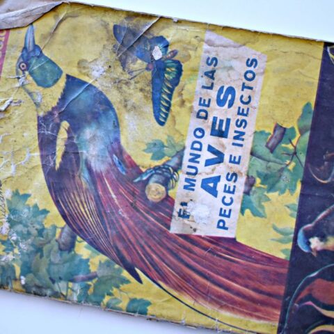 El mundo de las aves (Coda y Cía, 1986): Tiene 70 Láminas