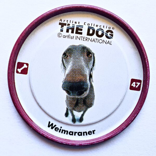 The Dog