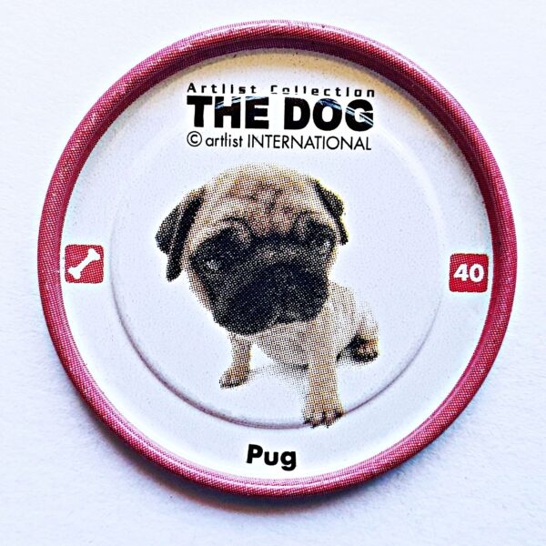 The Dog