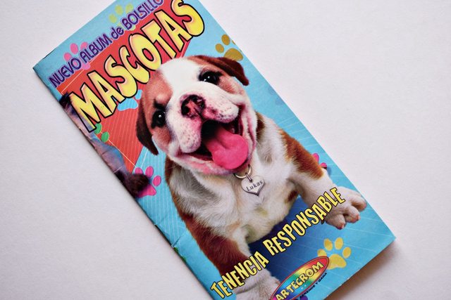 Mascotas, Tenencia Responsable (Panini, 2010): Faltan 31 Láminas (Álbum)