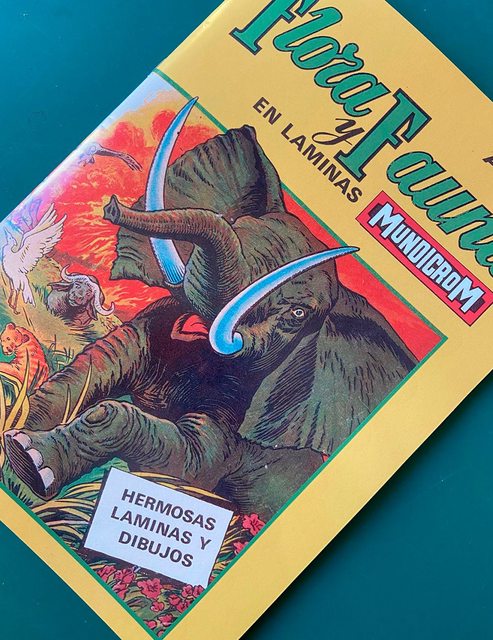 Flora y Fauna: Completo A Pegar