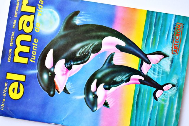 El Mar Fuente de Vida (Artecrom, 1991): Álbum Completo (Con todas sus láminas pegadas)