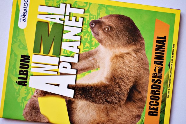 Animal Planet Records del mundo Animal (Panini, 2018): Álbum Vacío (Sin láminas)