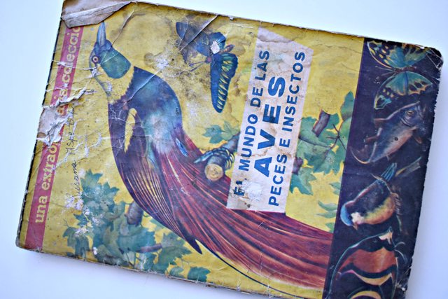 El mundo de las aves (Coda y Cía, 1986): Tiene 70 Láminas (Álbum)