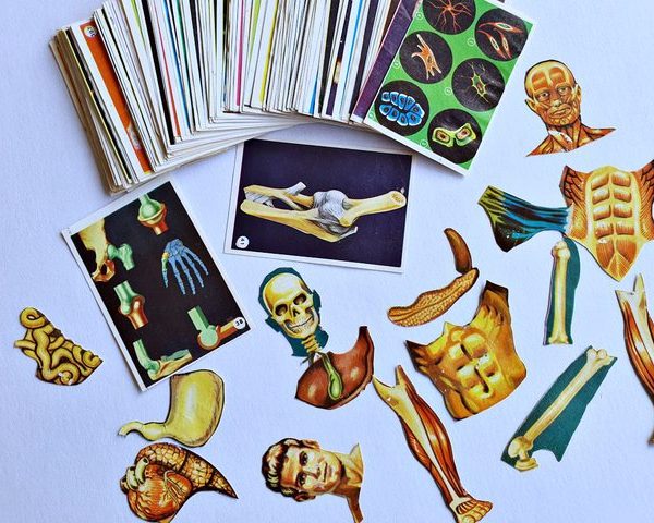 El Cuerpo Humano: 30 Láminas (Pack) [1990