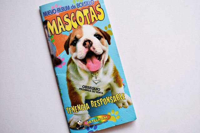 Mascotas, Tenencia Responsable (Panini, 2010): Faltan 37 Láminas (Álbum)