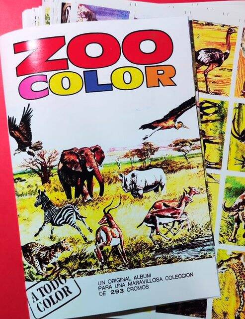Zoo Color: Álbum Completo A Pegar