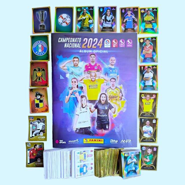 Fútbol 2024 Campeonato Nacional [Tapa Blanda]: Álbum A Pegar (Futbol 2024)