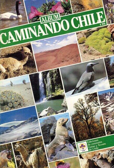 Caminando Chile (Guías y Scouts de Chile, 1984): Categoría Premium