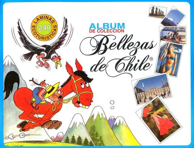 Bellezas de Chile (Copesa, 1994): Categoría Premium