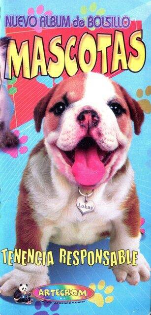 Mascotas, Tenencia Responsable (Panini, 2010): Categoría Premium